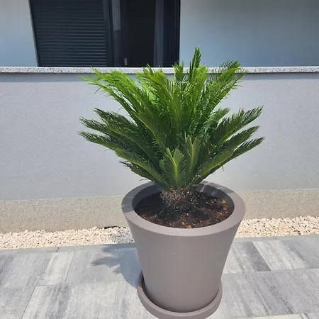 Neptun Zadar Apartment *